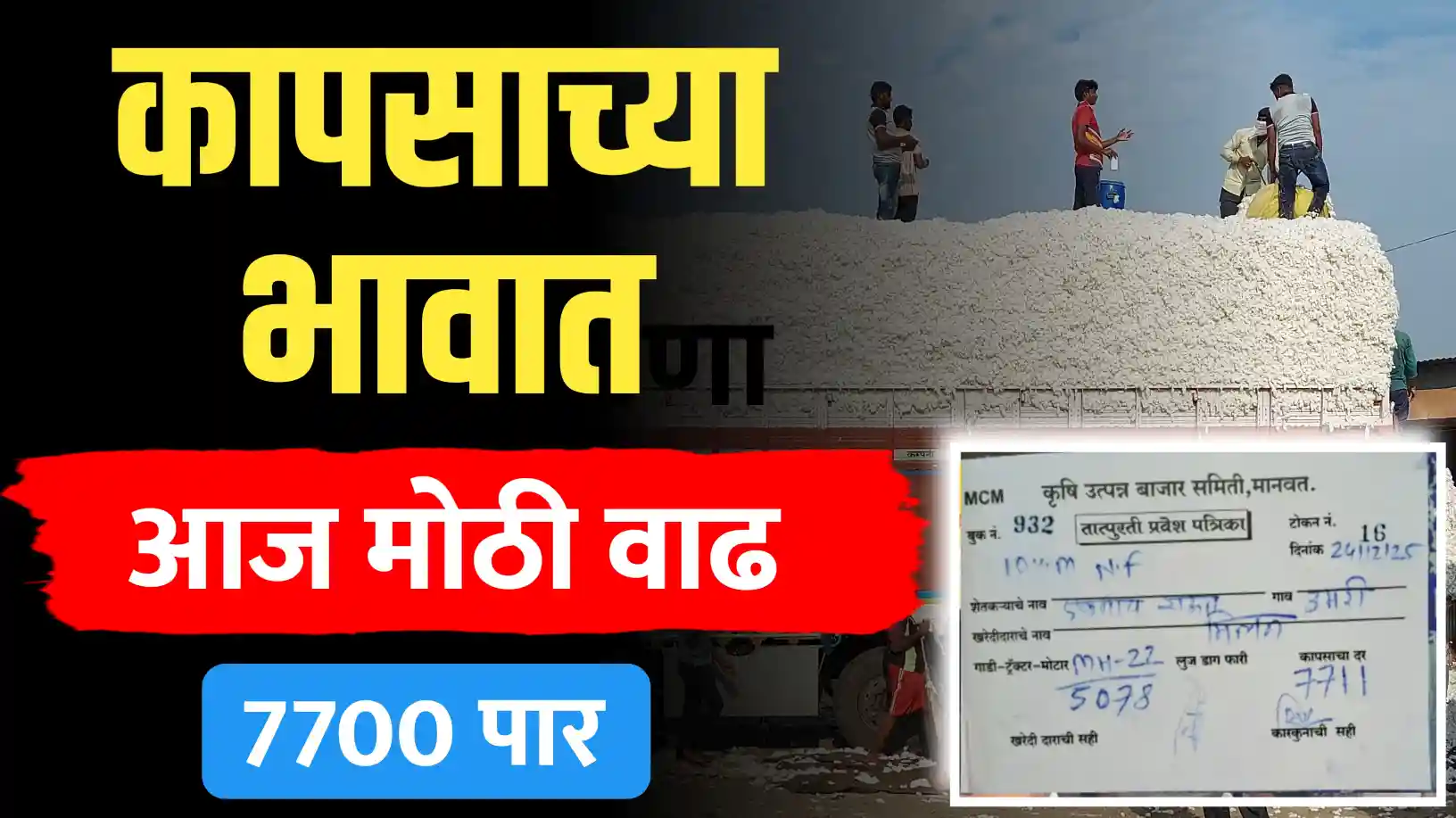 मानवतमध्ये कापसाच्या भावात मोठी वाढ