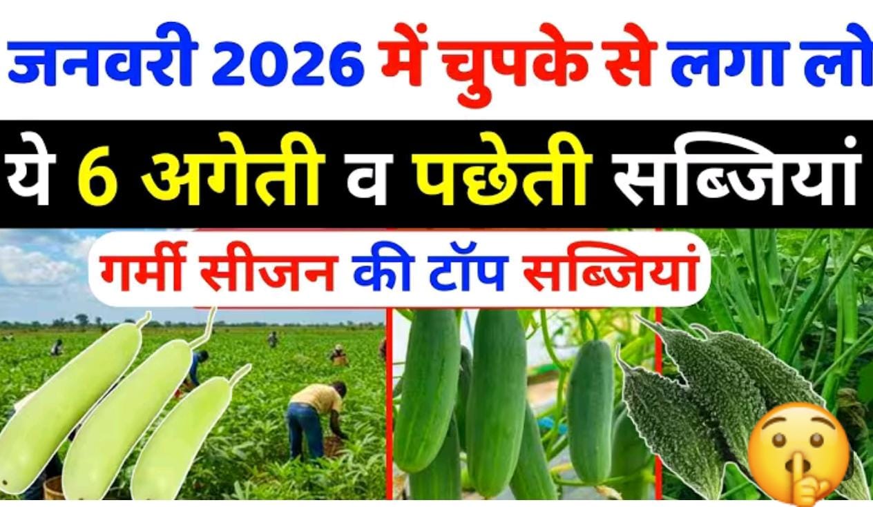 जनवरी माह में लगाएं